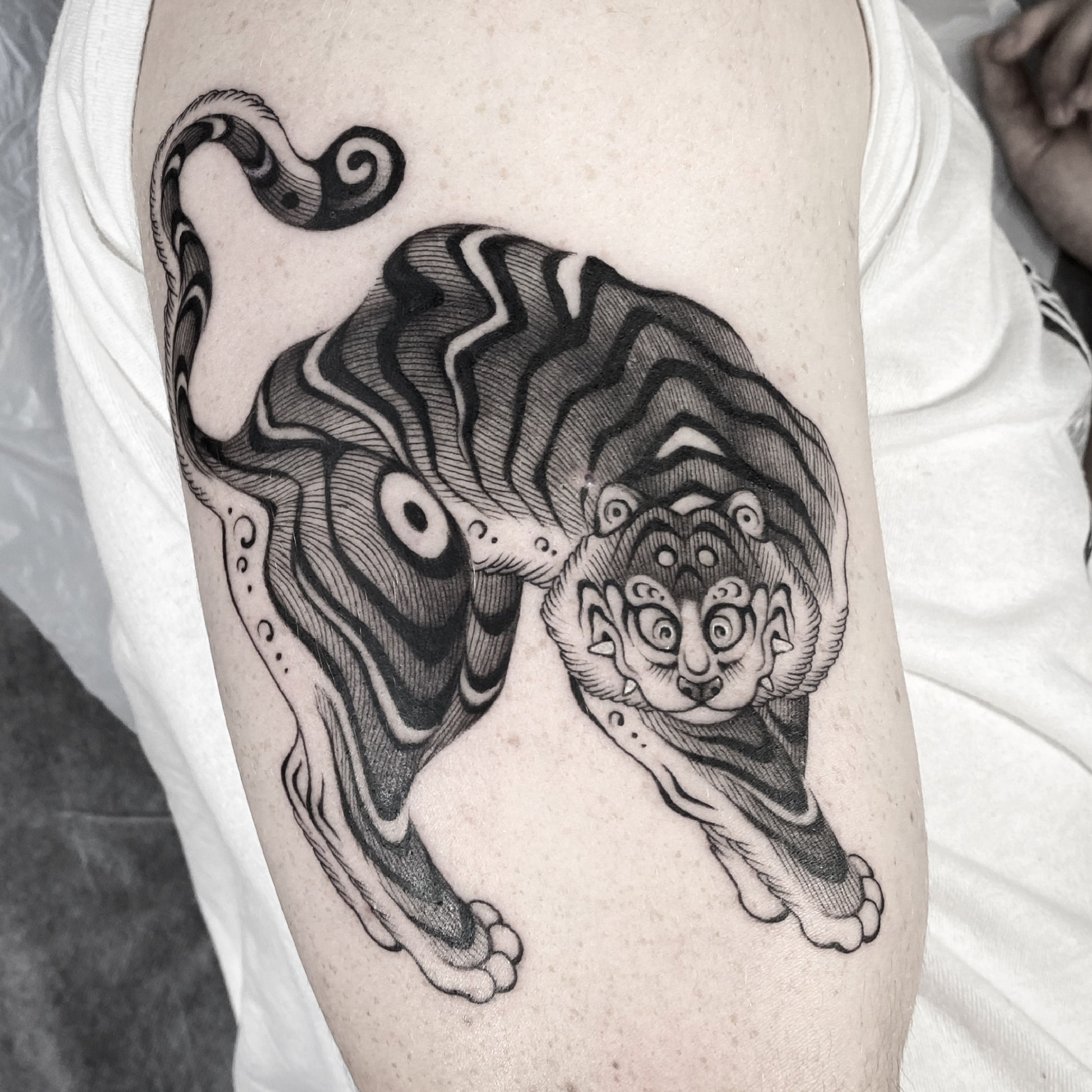 12 Korean Tiger Tattoo Designs and Ideas  PetPress  Tiger tattoo design Tiger  tattoo Tattoos