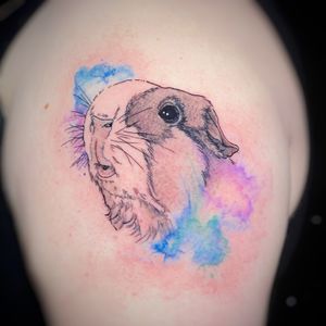 Memorial guinea pig tattoo! 