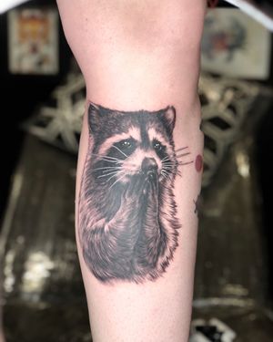 Hooooow cute is this #raccoon that @sfawkestattoos did on @giantshev 🦝•Walk Ins taken everyday☺️Email info@kakluckytattoos.com or DM for booking enquiries🏝•#kakluckytattoos #capetowntattoo #tattoos #tattoo #art #kaapstad #raccoonlove #bnginksociety