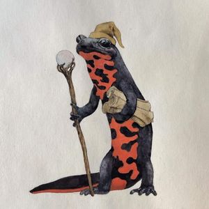 Salamander wizard