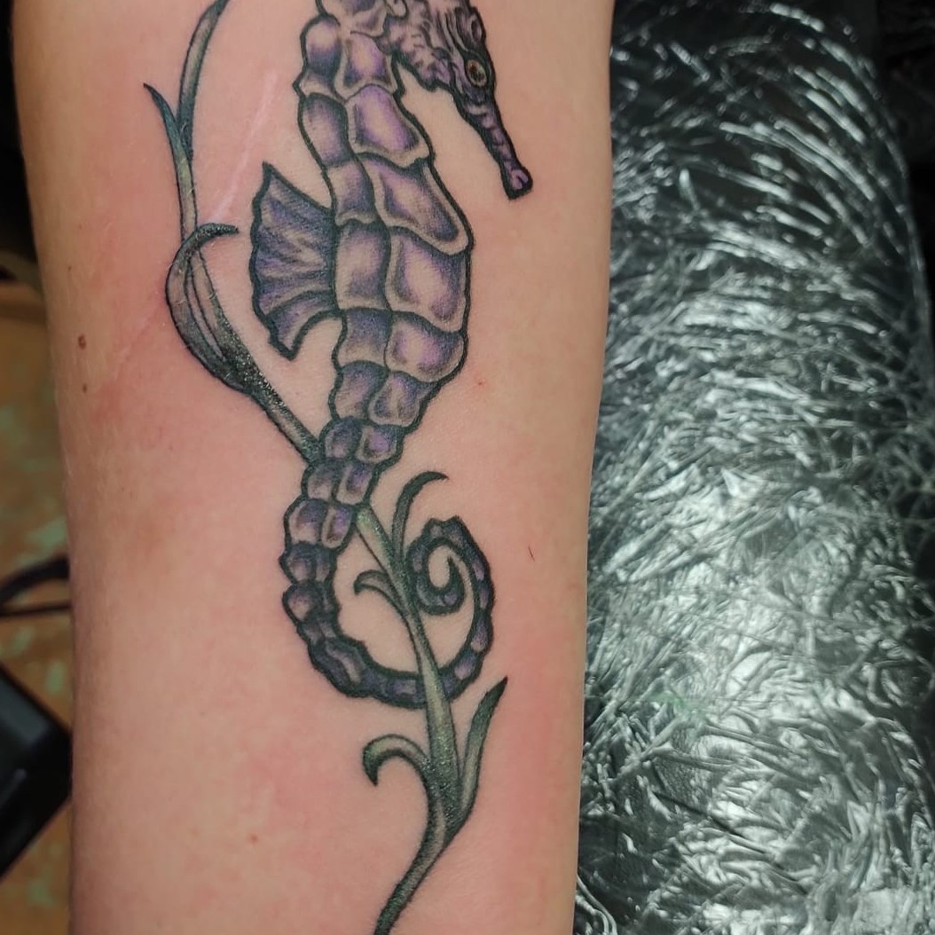 Tattoo uploaded by Tattoorob06 • Seahorse by me • Tattoodo Tattoo uploaded by Tattoorob06 • Seahorse by me • Tattoodo