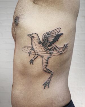 birdfrog or a frogbird by Christian Eisenhofer. A surreal chimera tattoo of a bird and a frog swimming in water. 