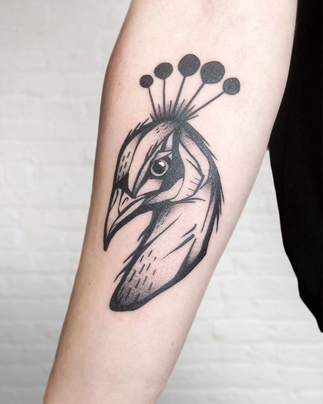ArtStation - Traditional Peacock - Tattoo Inspired Illustration
