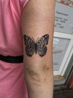 Motylek 🦋 #butterfly #dąbrowagórnicza 