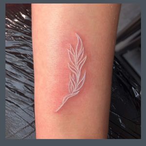 So lovely to do theses willow memorial tattoos today! 😌 ! #ink #tattoo #memorialtattoo #willow #wilowtattoo #simpletattoo #illustrativetattoo #ink #cardiff #femaletattooartist 