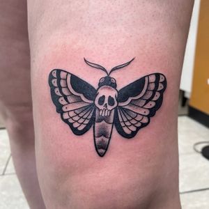 Cute little traditional moth 
