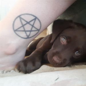 Pentagram Tattoo (with my doggo) 🐶