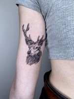 Elegant stag head for Julie. I can’t get enough of animal tattoos! . #stag #stagtattoo #stagheadtattoo #deer #deerhead #deertattoo #deerheadtattoo #animaltattoo 