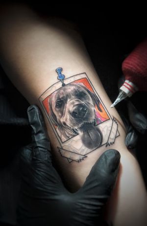 DOG PORTRAIT #portrait #realism #tattoo #art #ink #tattoo #charlyavila #blackandgrey #surrealist #microrealistic 