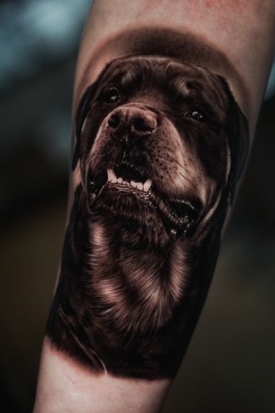 DOG PORTRAIT #portrait #realism #tattoo #art #ink #tattoo #charlyavila #blackandgrey #surrealist #dog #animal