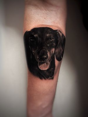 DOG PORTRAIT #portrait #realism #tattoo #art #ink #tattoo #charlyavila #blackandgrey #surrealist #dog #animal