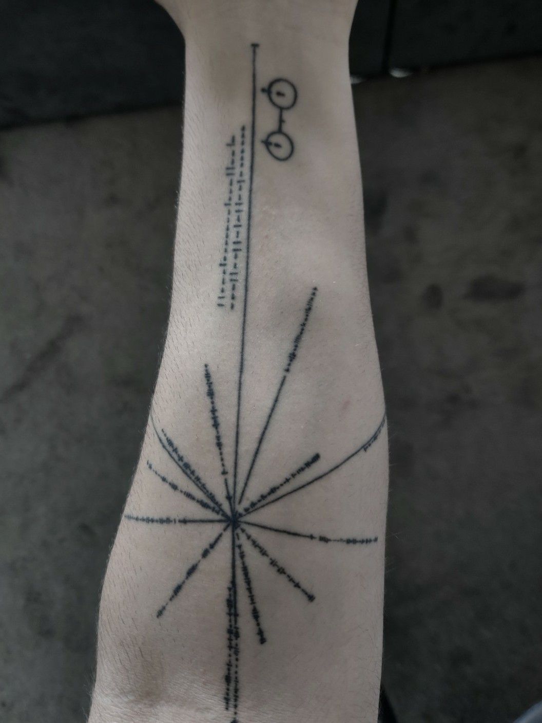 Niless tattoo of the Pioneer Plaque Image Credit Geeky Tattoos   Download Scientific Diagram