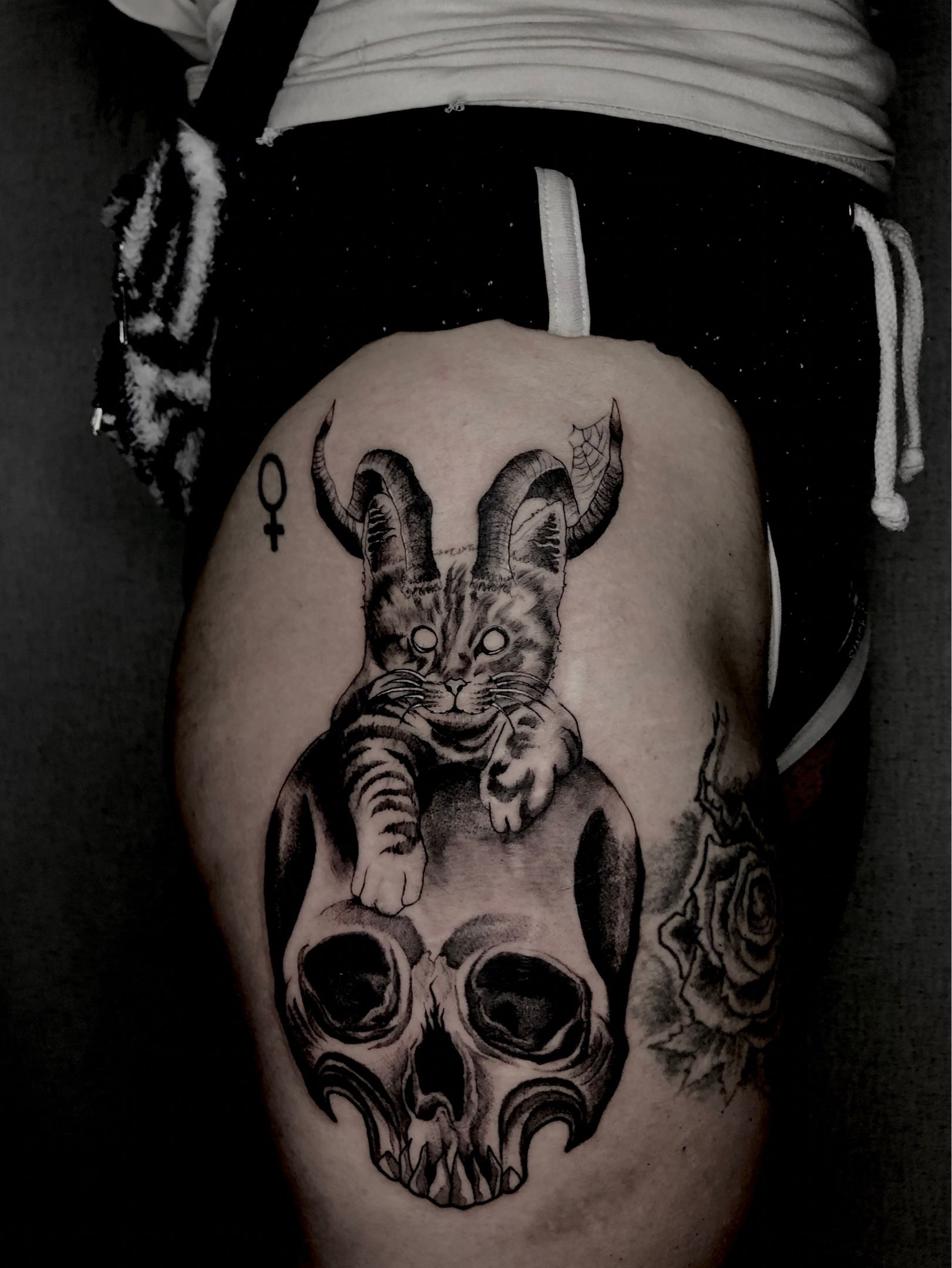 Derya Yilmaz crazy cat tattoo | Animal tattoos, Cat tattoo, Tattoos