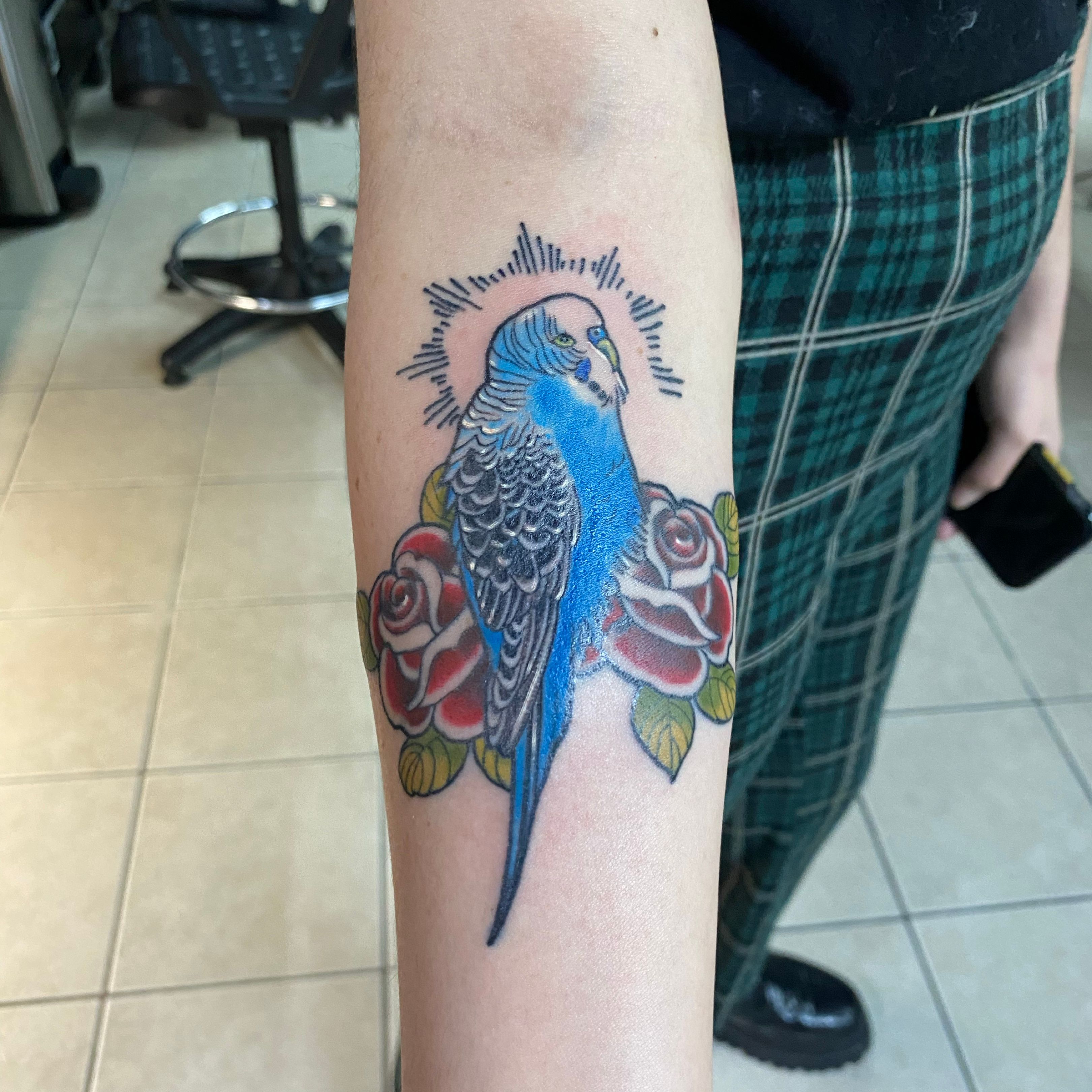 Colorful Budgie Tattoo by Bizarre Ink