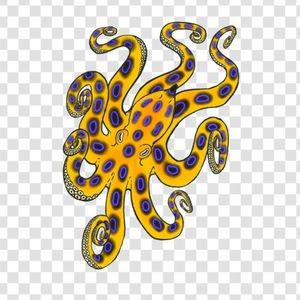 Tattoo idea-blue ringed octopus