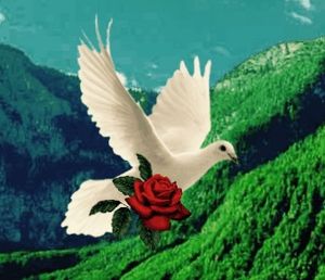 Dove with rose in mouth and petals falling down over my cross. 
