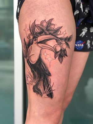 Toucan by Jessica Burridge @j.breeziee at Three Fates Tattoo in Denver 