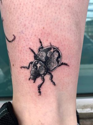 Night sky beetle 2 by Jessica Burridge @j.breeziee at Three Fates Tattoo in Denver 