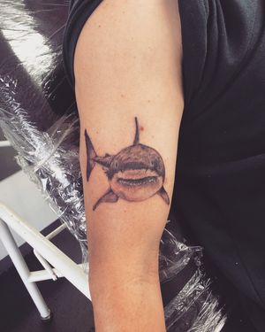 Had a pleasure doing this shark tattoo , i love doing sea creatures 🌊🐬