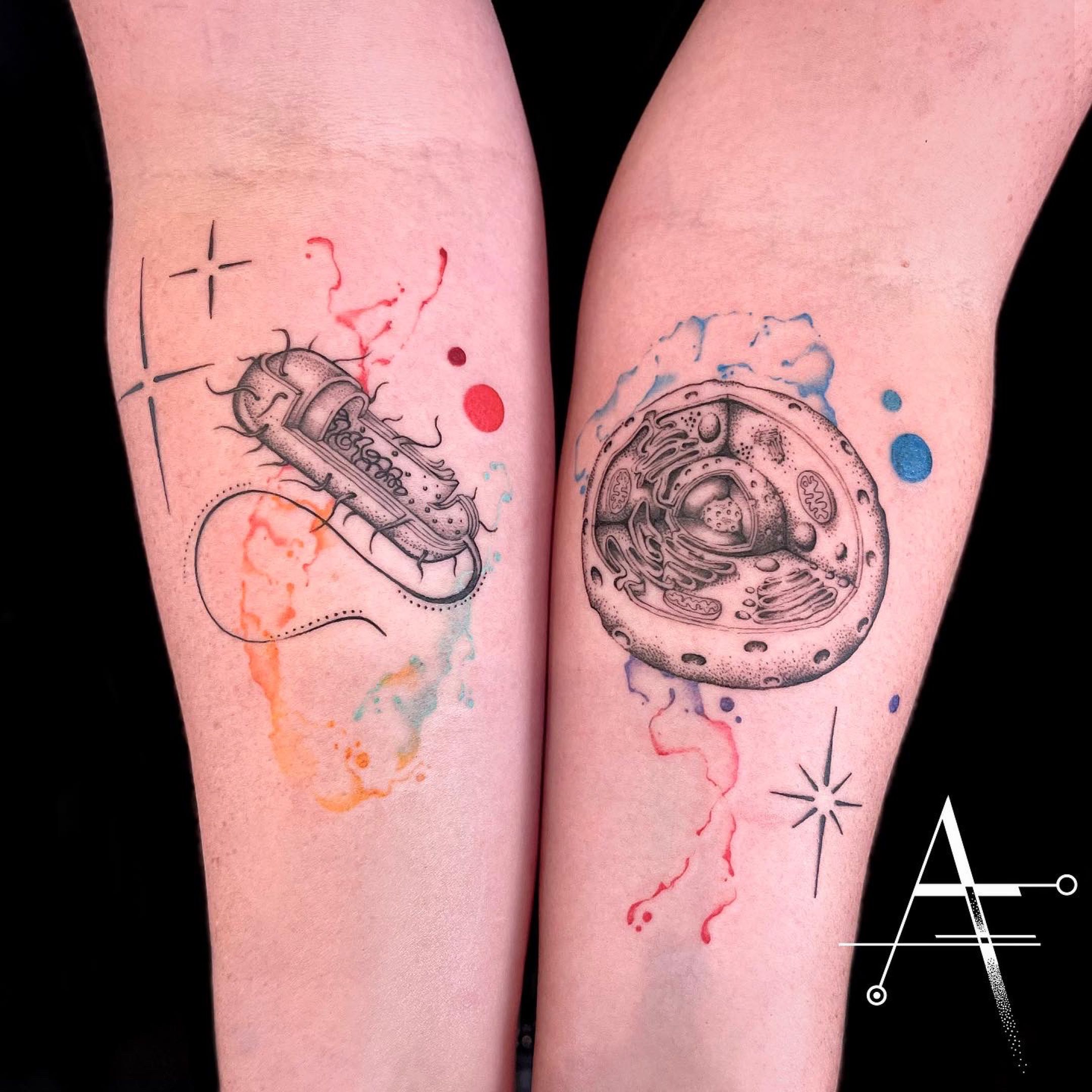 Minimalist Biology Tattoo Ideas
