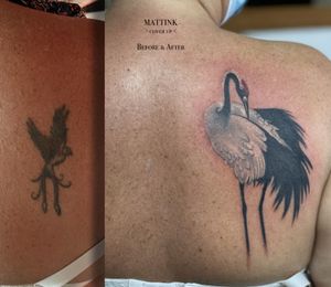 Tattoo cover up 