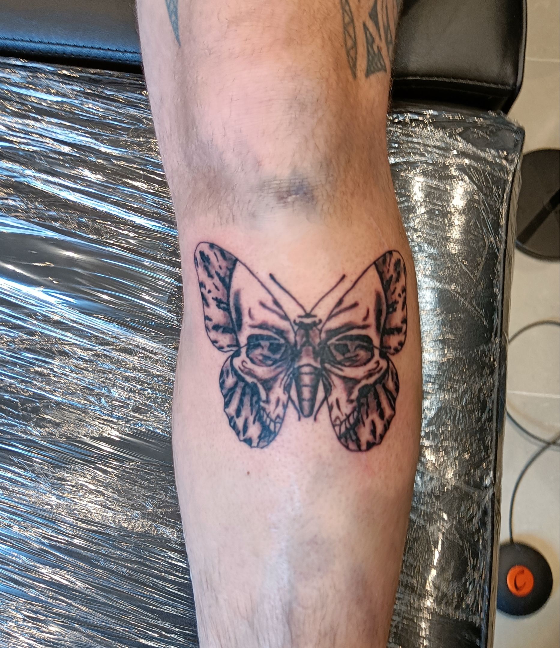 butterfly moth tattooTikTok Search