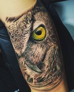 Owl #realismtattoo #owltattoo #eyes #colorrealism #owlportrait #armtattoo 