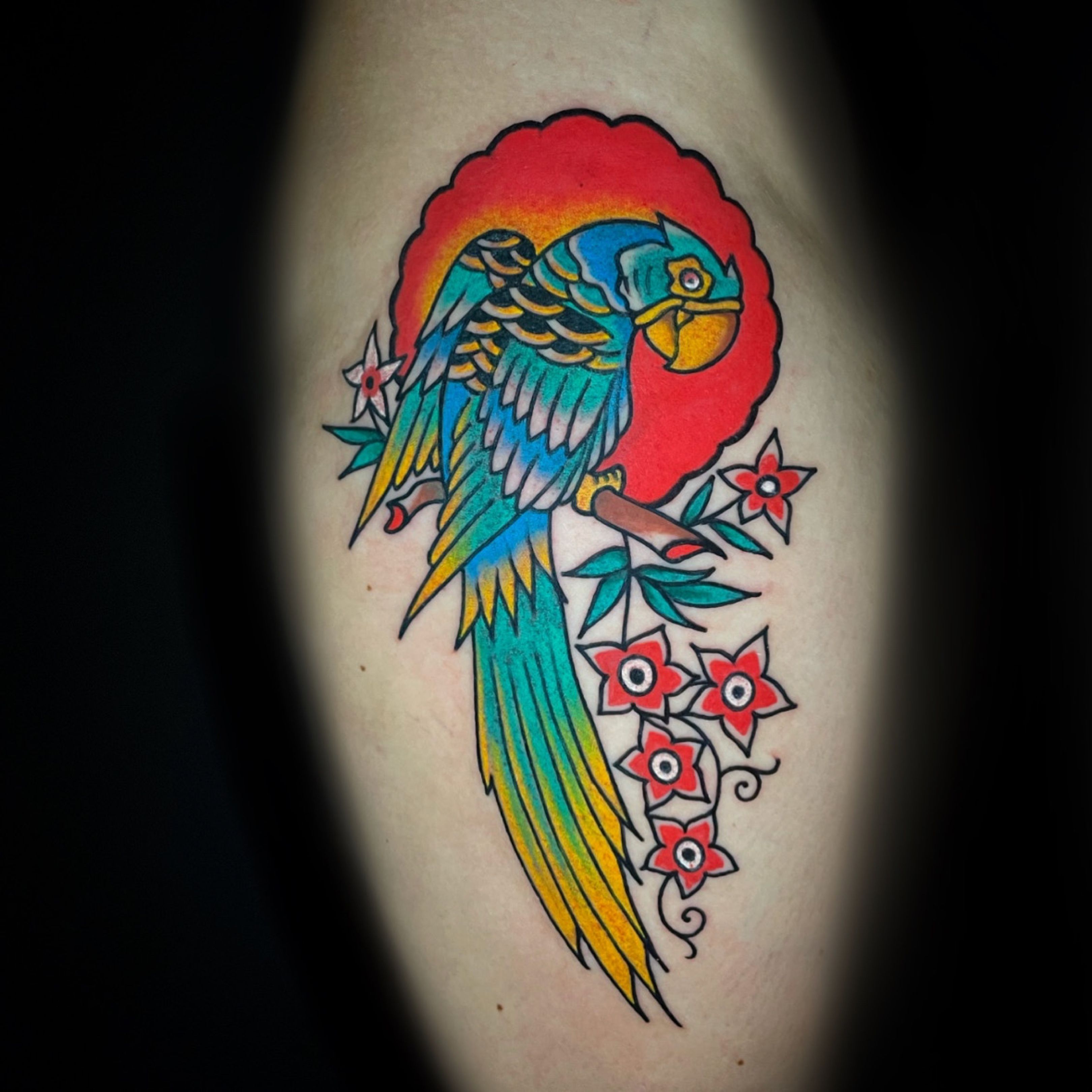 Full color realistic parrot tattoo by Evan Olin : Tattoos