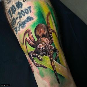 Unique forearm tattoo by Marie Terry featuring a realistic spider in new school style.