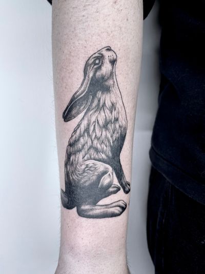 Look at this mean majestic hare, always love doing animals!.#animaltattoo #illustrativetatoo