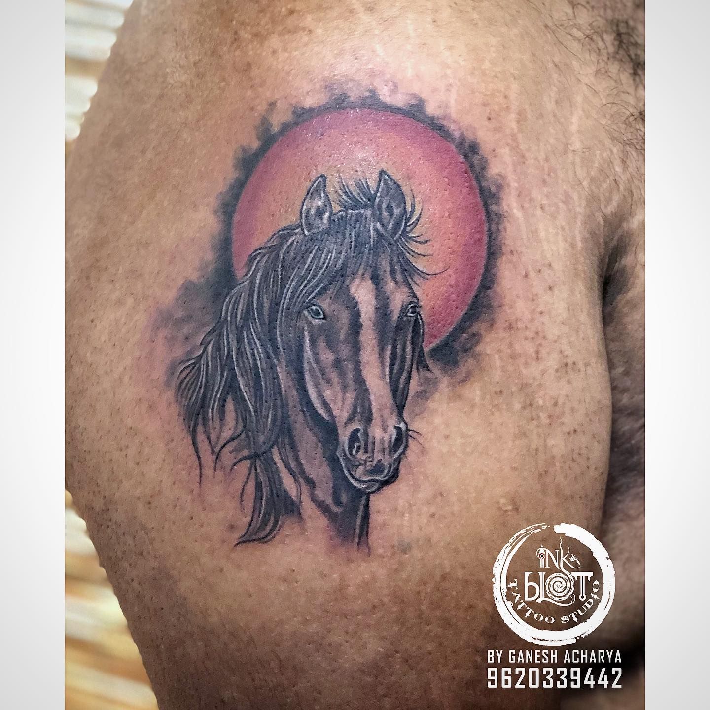 Stylised Horse Tattoo – Tattoo for a week