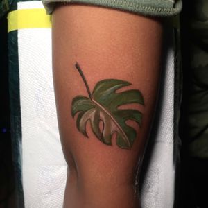 Monstera plant tattoo 