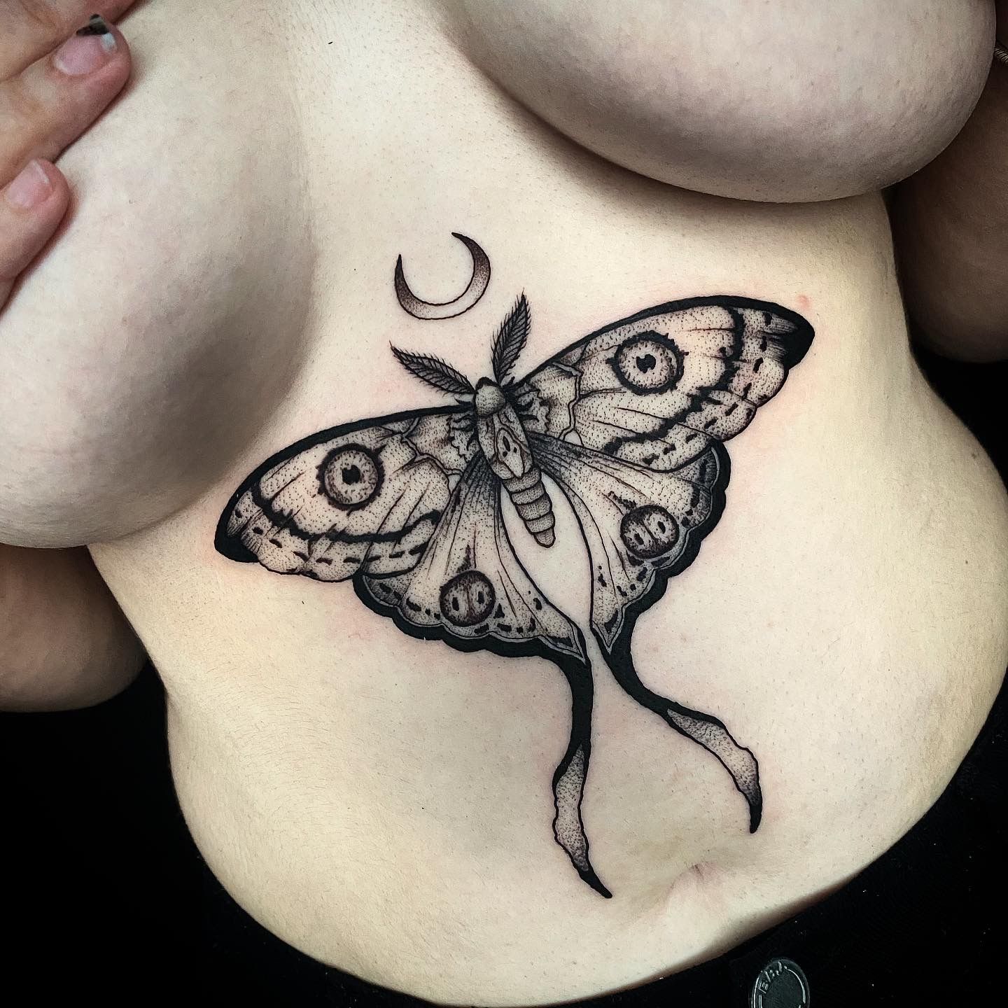 luna moth sternum tattooTikTok Search
