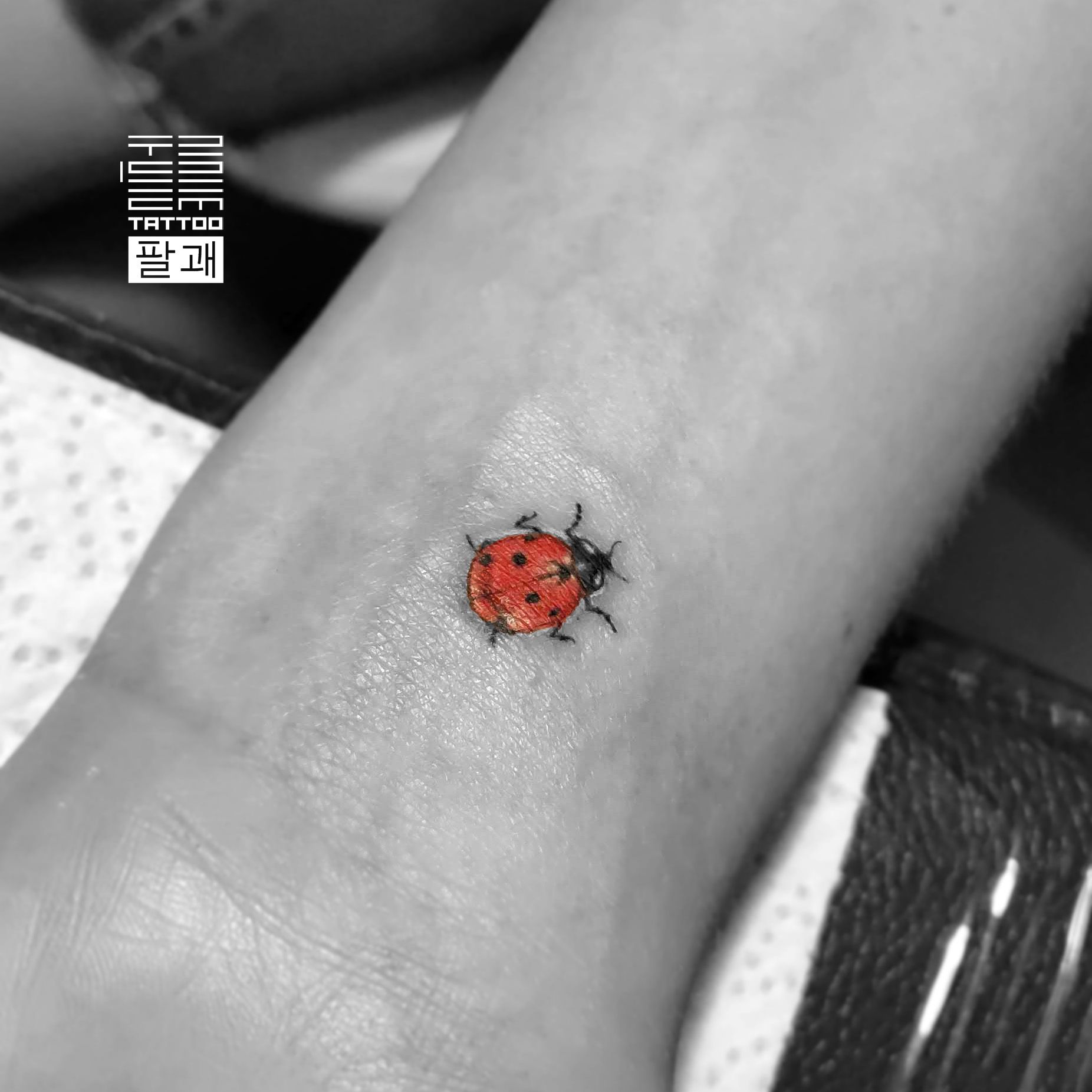 Tattoo uploaded by Oleksandr [Tattooist] • Just a small ladybug. - #тату  #божьякоровка #trigram #tattoo #ladybug #inkedsense • Tattoodo