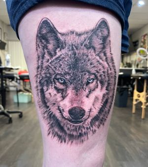 Wolf project