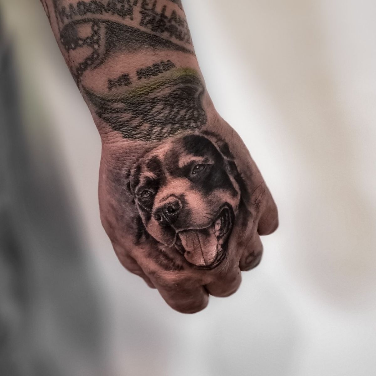 Tattoo uploaded by Ylenia Attard • Buddy ? #rottweiler #petportrait  #dogtattoo #handtattoo • Tattoodo