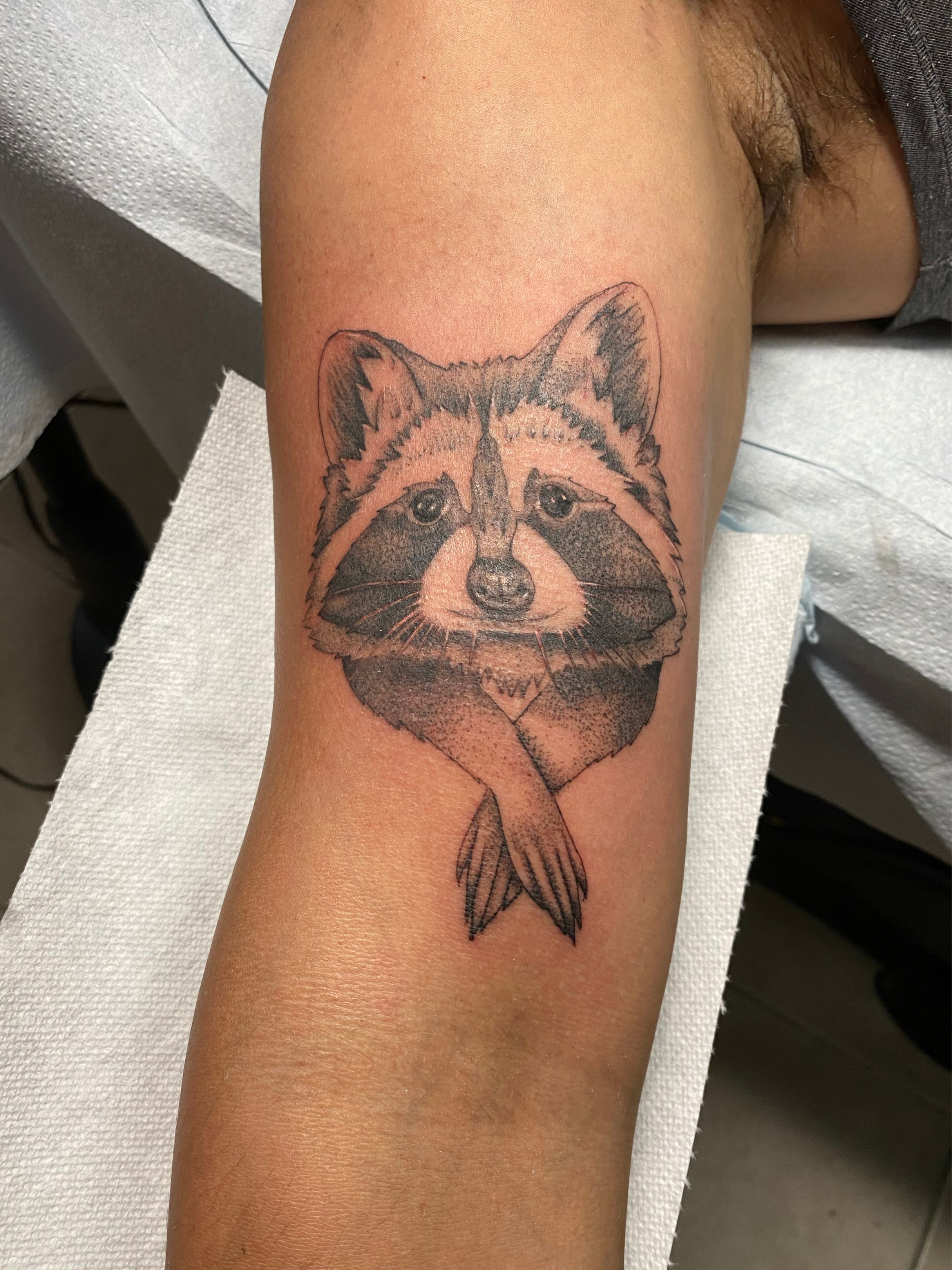 45 Best Raccoon Tattoos