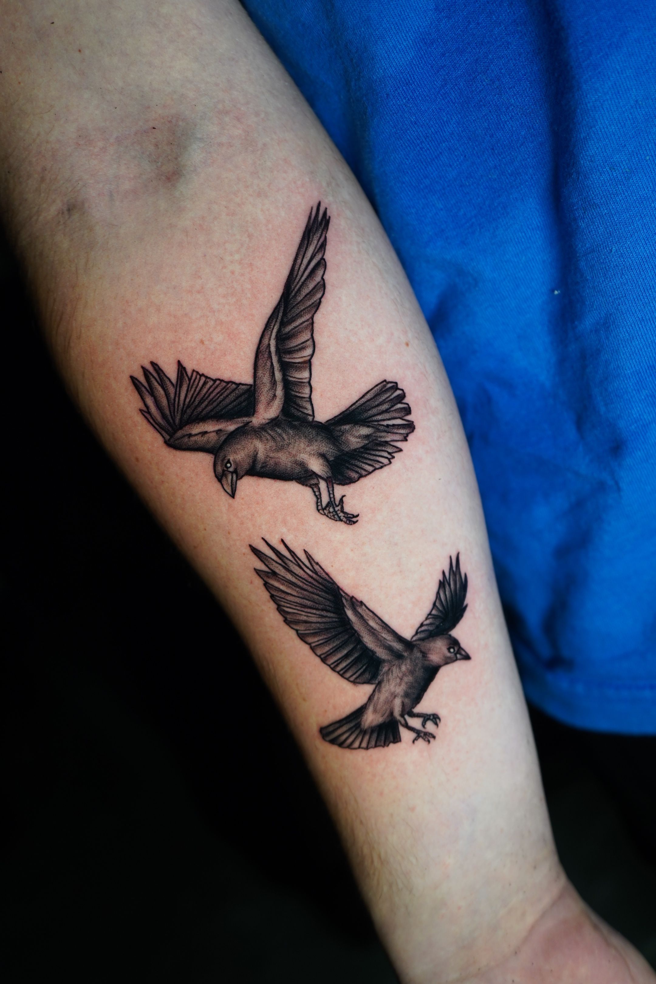 30 Bird Tattoo Ideas & The Meanings Behind Them