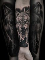 #wolf #wolftattoo #blackngreytattoo #blackngrey #forearmtattoo #ink #germany🇩🇪 #lietuvostattoo #tattoo #nopainnogain 