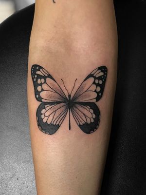Butterfly . . . #butterfly 