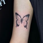 Butterfly in grey 🦋