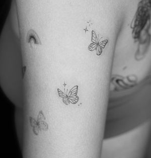 Butterflys 