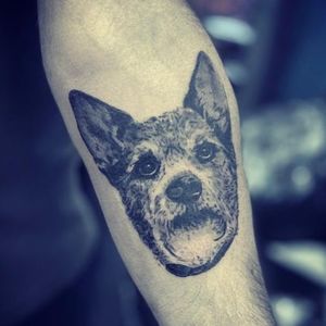 Costumers dog tattoo
