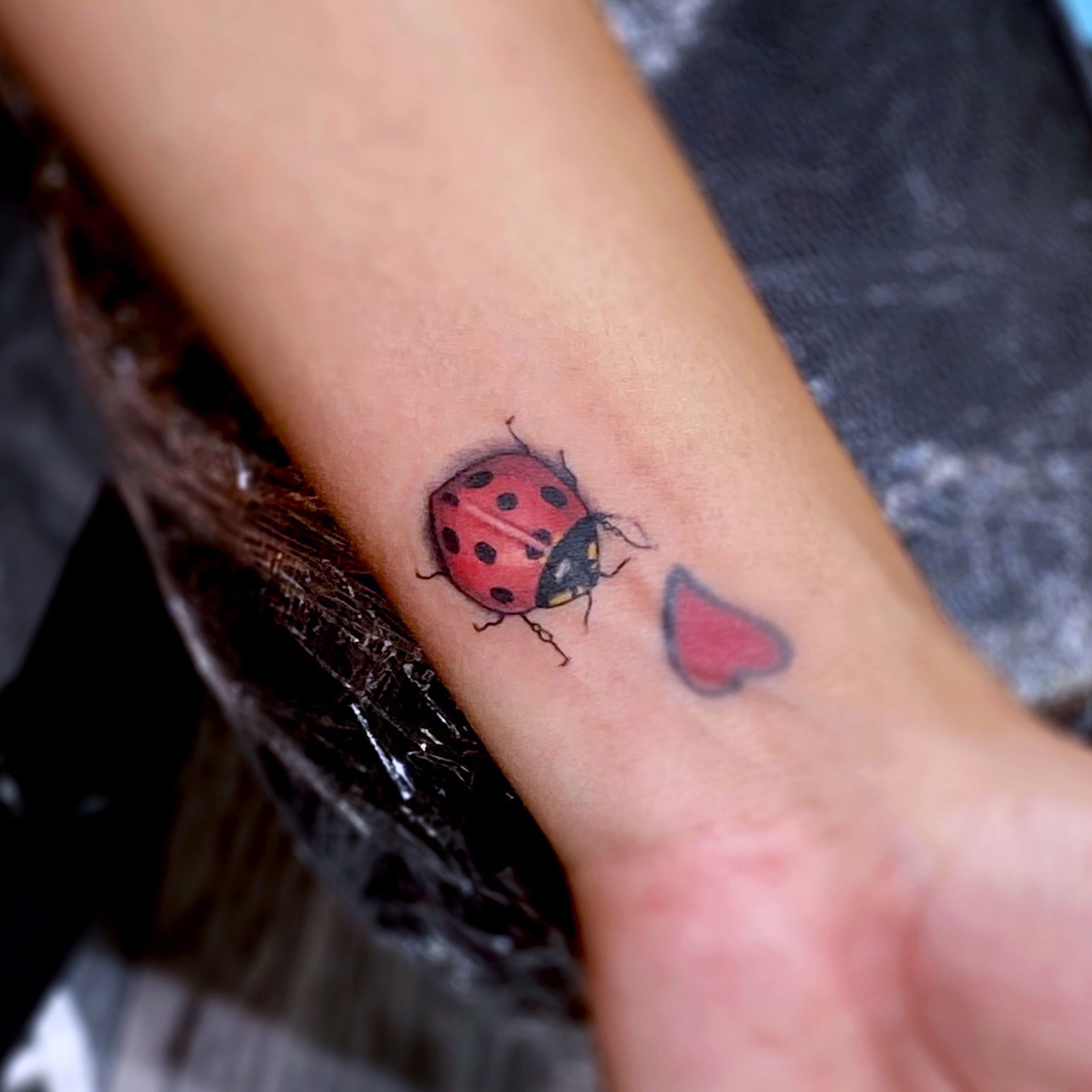 Discover 80 cute ladybug tattoo designs latest  thtantai2