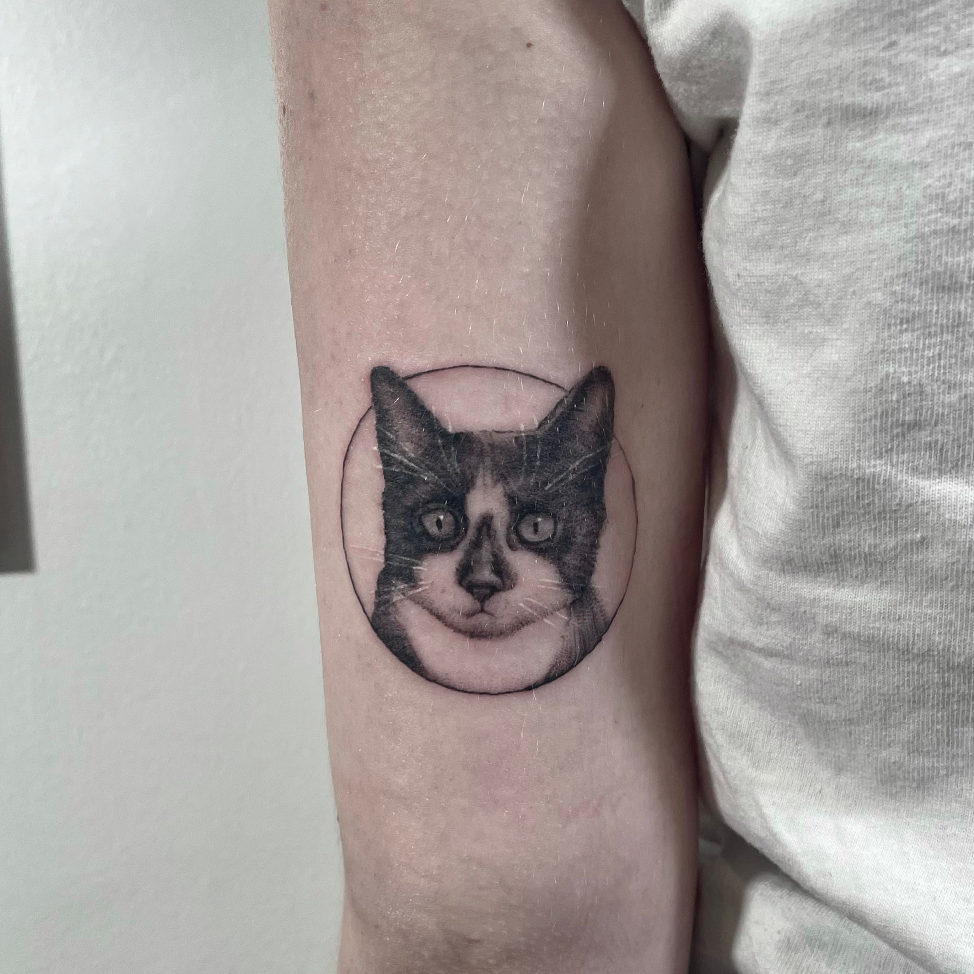 Realistic Cat Portraits Tattoo by Hyeonhwa Kim Dokhwa TattooNOW