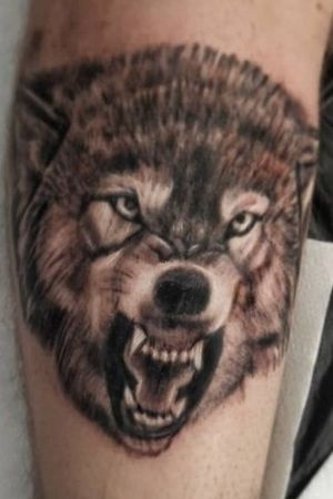 #wolf #angrywolf #wolftattoo