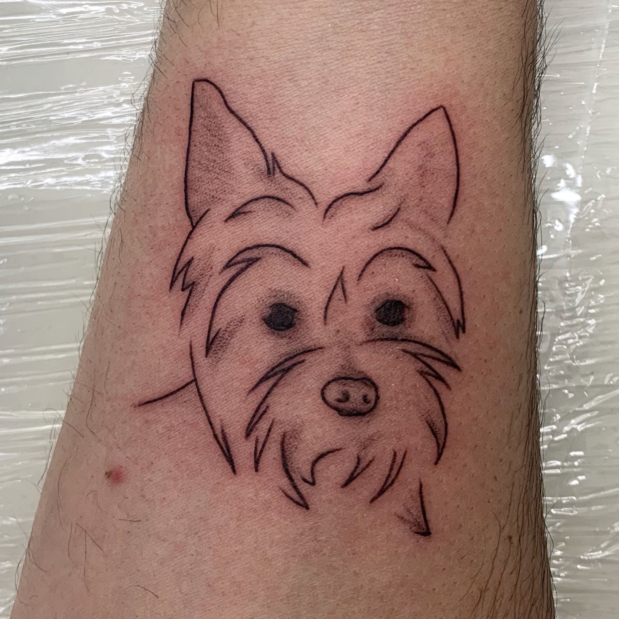 37 Awesome Dog Tattoos Any Yorkie Lover Will Love  The Paws