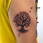 Tree of life tattoo #finetattoo #blackwork #blackworktattoo #treeoflife #treeoflifetattoo #birdstattoo #amsterdamtattoo 