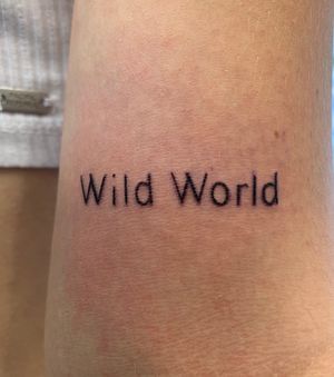 “Wild World” no doubt.. #lettering #fineline #linework #finelinetattoo #lineworktattoo 