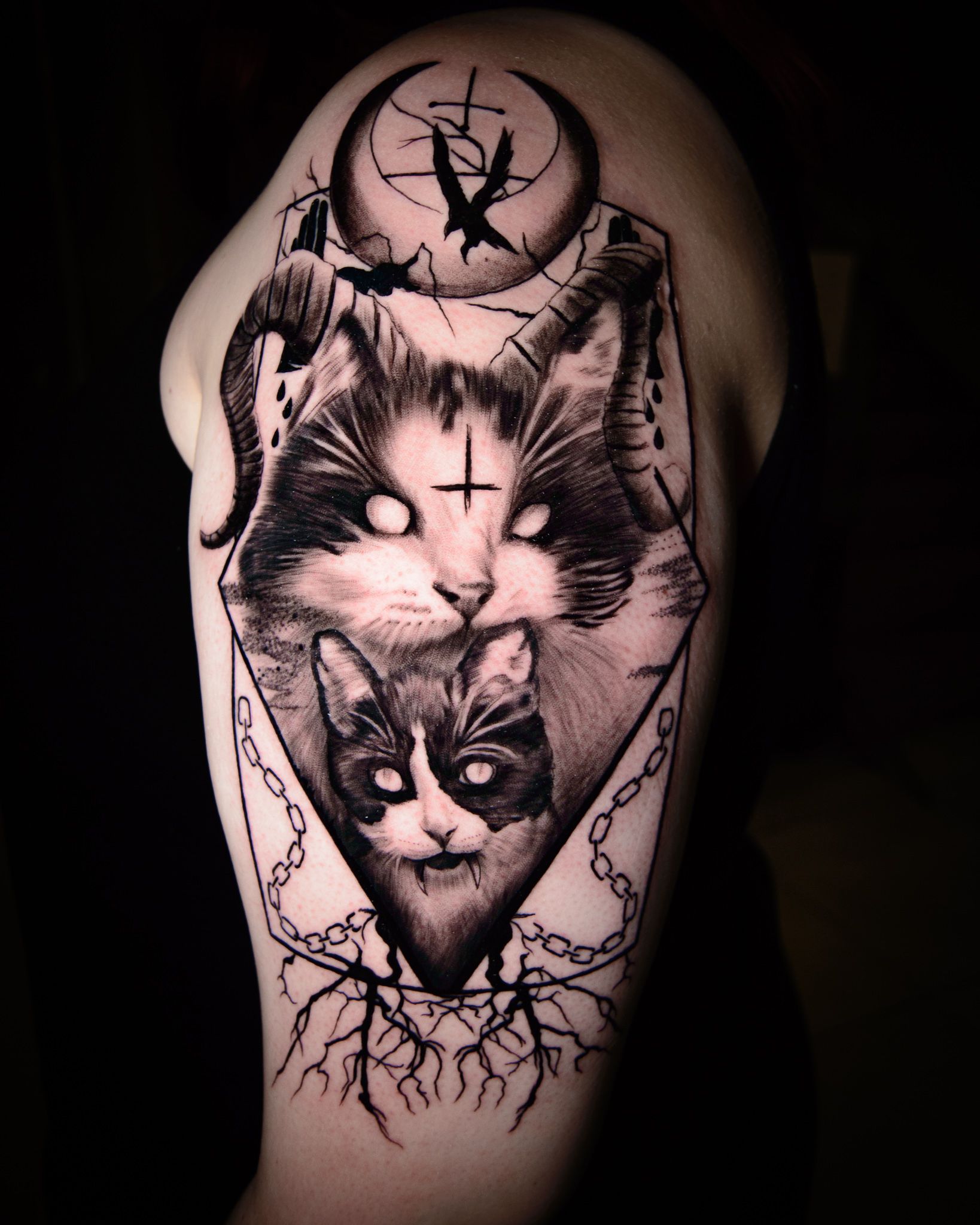 19+ Lone Kitten Tattoo